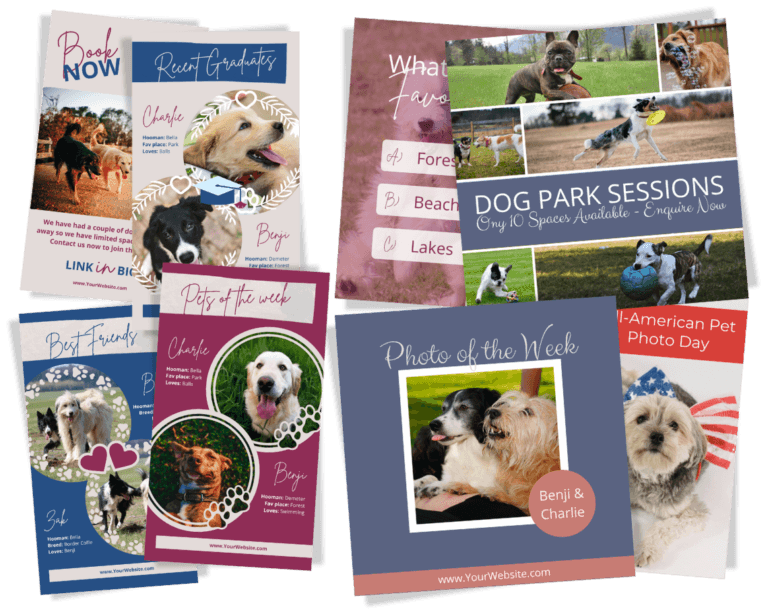 Image depicting social media templates for dog walkers, dog groomers, pet stores and other pet buinesses